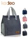 Waterproof Lunch Bag, Reusable Portable Lunch Tote,Lunch Box Bag, Thermal Cooler Bag Ideal for Work Party Travel Picnic