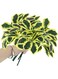 NALACAL 5Pcs Artificial Plants Fake Greenery Bush, UV Resistant Plants Simulation Plastic Greenery, Indoor Outdoor Home Garden Decoration, Made of Plastic, Durable, Safe and Environmentally Friendly