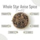 AWAFI MILL Whole Star Anise Spice - Exotic Flavor Infusion - Culinary Essential for Gourmet Delights - Aromatic Spice for Inspired Cooking (Bottle of 50 gram / 1.7 Oz)