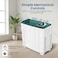 STAR TRACK SW-900G1-TK 9KG Semi-Automatic Washing Machine, Large Capacity Twin Tub Top Loader with 6.5KG Spinner, Rust-Proof PP Body, Transparent Lids &amp; Easy 4-Knob Mechanical Control