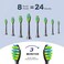 7AM2M Sonic Electric Toothbrush for Adults and Kids, with Travel Case &amp; 8 Brush Heads, 5 Modes with 2 Minutes Build in Smart Timer, Roman Column Handle Design (Black)
