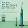 Beurer SC 50 Ocean Breeze   Electric Toothbrush with 5 Cleaning Modes   80,000 Vibrations   Time Display   Includes 2 Replacement Toothbrush Heads   German Engineering   3-Year Guarantee