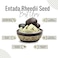 AWAFI MILL De-Shelled Entada Rheedii Seed Pulp - Premium African Dream Herb for Culinary Innovation (Bottle of 50 gram / 1.7 Oz)