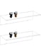 CY craft Clear Floating Shelves Display Ledge,2 PCS Decorative Wall Storage Shelves with Detachable Towel Hooks,Damage Free Adhesive Acrylic Wall Mounted Shelves for Bathroom,Kitchen,Bedroom or Office
