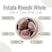 AWAFI MILL Entada Rheedii Seeds - Natural Whole Shelled Seeds for Dream Enhancement, Spiritual Sleep Aid, and Meditation (Pack of 6 Seeds)