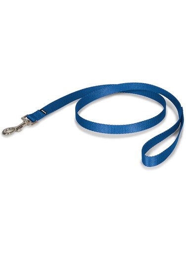 PetSafe Nylon Dog Leash - Strong, Durable, Traditional Style Leash with Easy to Use Bolt Snap - 3/4 in. x 4 ft., Royal Blue