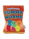 Outward Hound Snack Bag Yummy Worms Puzzle Squeaky Dog Toys