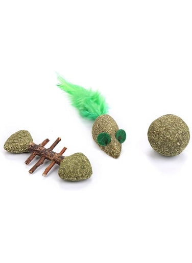 3 pcs Catnip Lollipops Natural Silvervine Sticks Different Shape Catnip Chew Toy Cleaning Teeth Molar Tools Chew Sticks for Cat Kitten