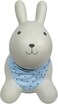 Bouncing Animal Bunny