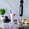 Arshia 3 in 1 Hand Blender Black