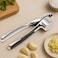 Arshia Small Garlic Press