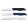 Arshia 6-Piece Stainless Steel Fruit Knife Set