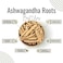 AWAFI MILL Dried Ayurvedic Ashwagandha Roots - Premium Quality - Promotes Vitality and Well-being (Bottle of 50 gram / 1.7 Oz)