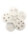 Flowers Chocolate Sugarcraft Mold White 11x11x2cm
