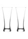 2-Piece Sorgun Glass Set Clear
