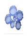 Dubai Gallery Silicone Stretch Fresh Food Cover Stretch Lids, 6-Pack Of Various Sizes AMZ-N23908602A