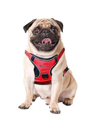 ByEzzy Dog for Small Dogs, No Pull Dog Vest Harness, Choke Free Medium Dog Harness with Nylon Handle (Large) (Medium)