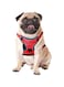 ByEzzy Dog for Small Dogs, No Pull Dog Vest Harness, Choke Free Medium Dog Harness with Nylon Handle (Large) (Medium)