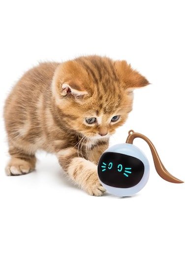 TZL Interactive Cat Ball Toy,Intelligent Obstacle Avoidance 360&deg;-Rotating Cat Toy,Automatic Rolling Ball Toy for Indoor Cats,USB Rechargeable Hunting Exercise Cat Toys (Blue)