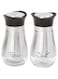 Funito Stainless Steel and Glass Salt and Pepper Shakers Set