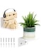 TPGP Wall Shelf, Small White, 10 Cm, Mini Shelf, Set Of 2, Floating Shelf