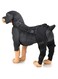 Dog Leg Support,Dog Joint Support,Dog Leg Wound Protector,Dog Kneepad Leg Protector,Pet Operation Injury Protective Cover,Dog Leg Brace (Black, XS)