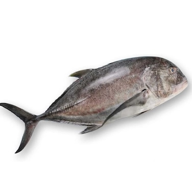 SWORDFISHFILLET