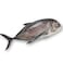 SWORDFISHFILLET