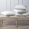 Cushion Filler Polythene outer fabric, 700 grams hollow fiber filling, Size: 65 x 65, White