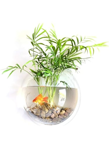 Goolsky Home Decoration Acrylic Hanging Wall Mount Fish Tanks Goldfish Bowl Aquariums