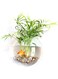 Goolsky Home Decoration Acrylic Hanging Wall Mount Fish Tanks Goldfish Bowl Aquariums