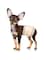 Mumoo Bear Disposable Dog Puppy Nappies Male - Super Absorbent Male Dog Incontinence Wraps , XS. Waist 6&quot;- 13&quot; 12 Packs
