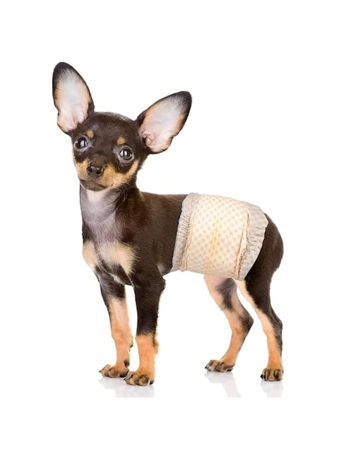 Mumoo Bear Disposable Dog Puppy Nappies Male - Super Absorbent Male Dog Incontinence Wraps , XS. Waist 6&quot;- 13&quot; 12 Packs