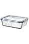 container with lid, rectangular glass/plastic, 1.0 l