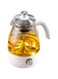 N B Electric Kettle, 1 Litre Glass Water Kettle for Tea Making, Stainless Steel Lid Quickly Boil Water For Tea Coffee