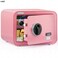 Rubik Safe Box with Biometric Fingerprint Lock, A4 Document Size Safety Deposit Box for Home Office Shop RB25QC9 (25x35x28cm) Flamingo Pink
