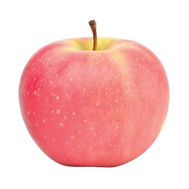 تفاح فوجي الفاخر