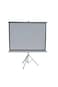 120" Portable Projection Screen with Adjustable Tripod Stand, Matte White, 160&deg; View