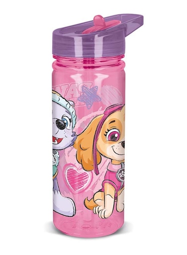 Paw Patrol Girl Water bottle for Kids Eco Zen 580 ml
