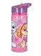 Paw Patrol Girl Water bottle for Kids Eco Zen 580 ml