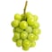 عنب أبيض
