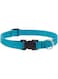 Lupine Basics 3/4in Aqua Adj. Collar 9-14inch/23-35cm