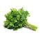 Parsley Import Bunch 100g