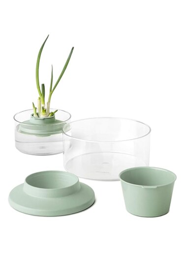 Brabantia Tasty+ Herbs and Vegetables Regrow Kit, Jade Green