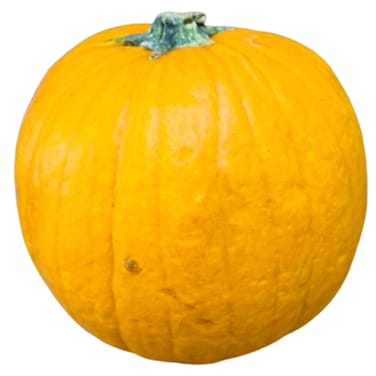 Halloween Pumpkin