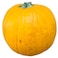 Halloween Pumpkin