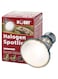Hobby Diamond Halogen Spotlight