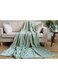 Home Ultra Plush Blanket 150x200cm-Moss