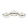 Classic Casserole Highly Insulated Stainless Steel Lid Stainless Steel Bowl Deluxe 1200Ml+1600Ml+2500Ml Multicolor Assorted Colour and Design 3PCS