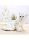 Cat Professional Recovery Suit for Abdominal Wounds or Skin Diseases, E-Collar Alternative for Cats and Dogs, After Surgery Wear, Home Clothing (M-A)